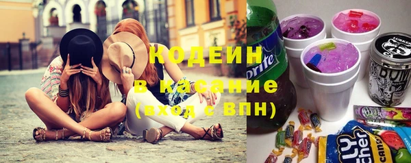 гашик Тихвин